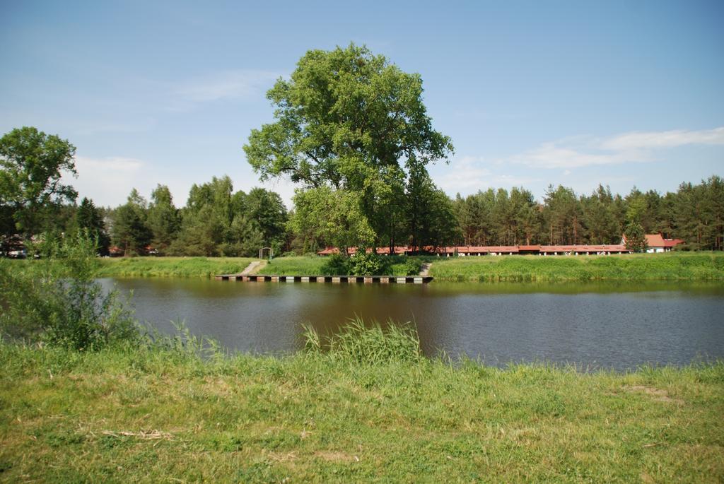 Pod Sosnami Готель